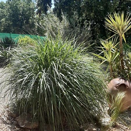 Le Calme De La Garrigue Panzió Russan Kültér fotó