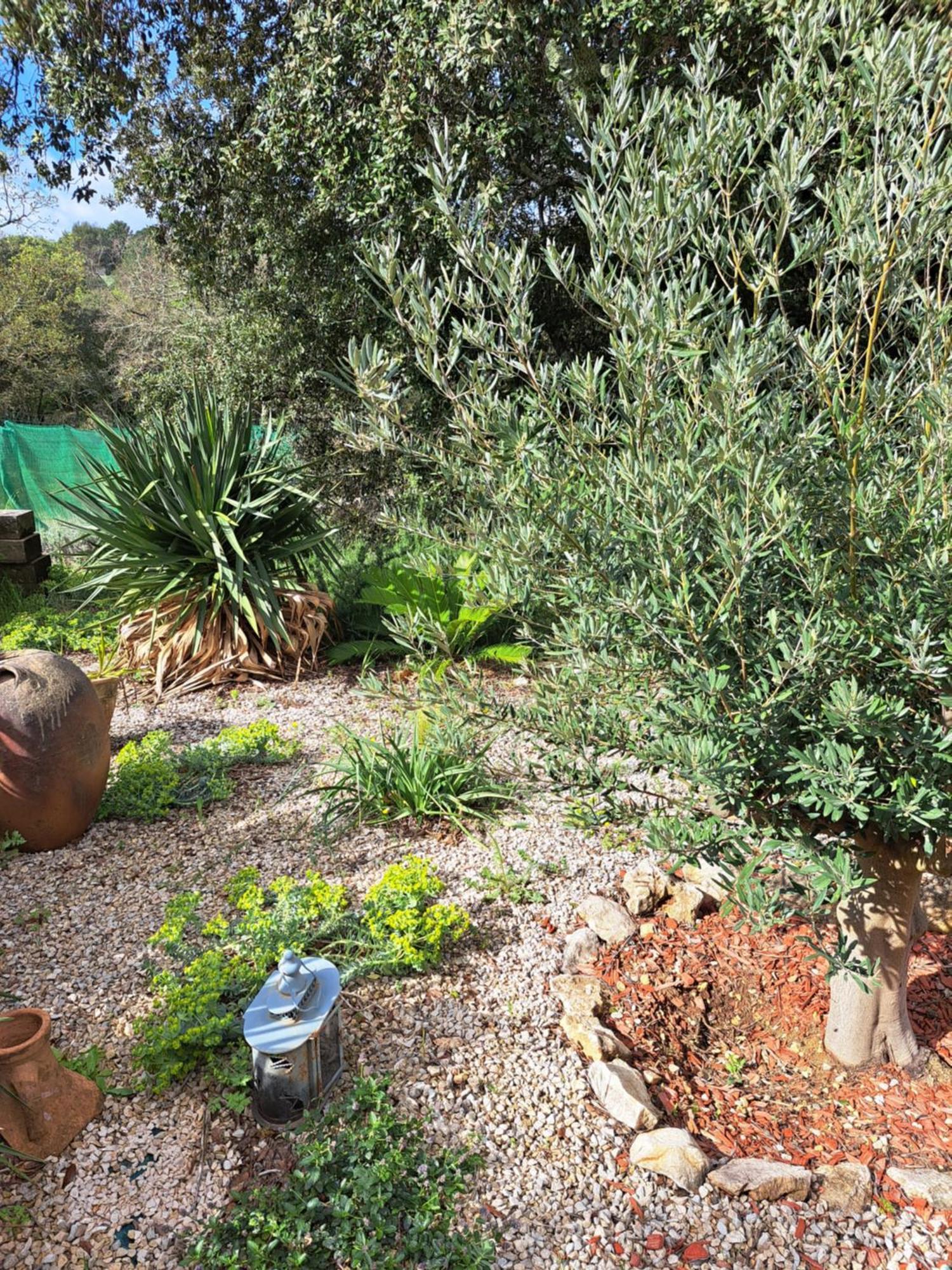 Le Calme De La Garrigue Panzió Russan Kültér fotó
