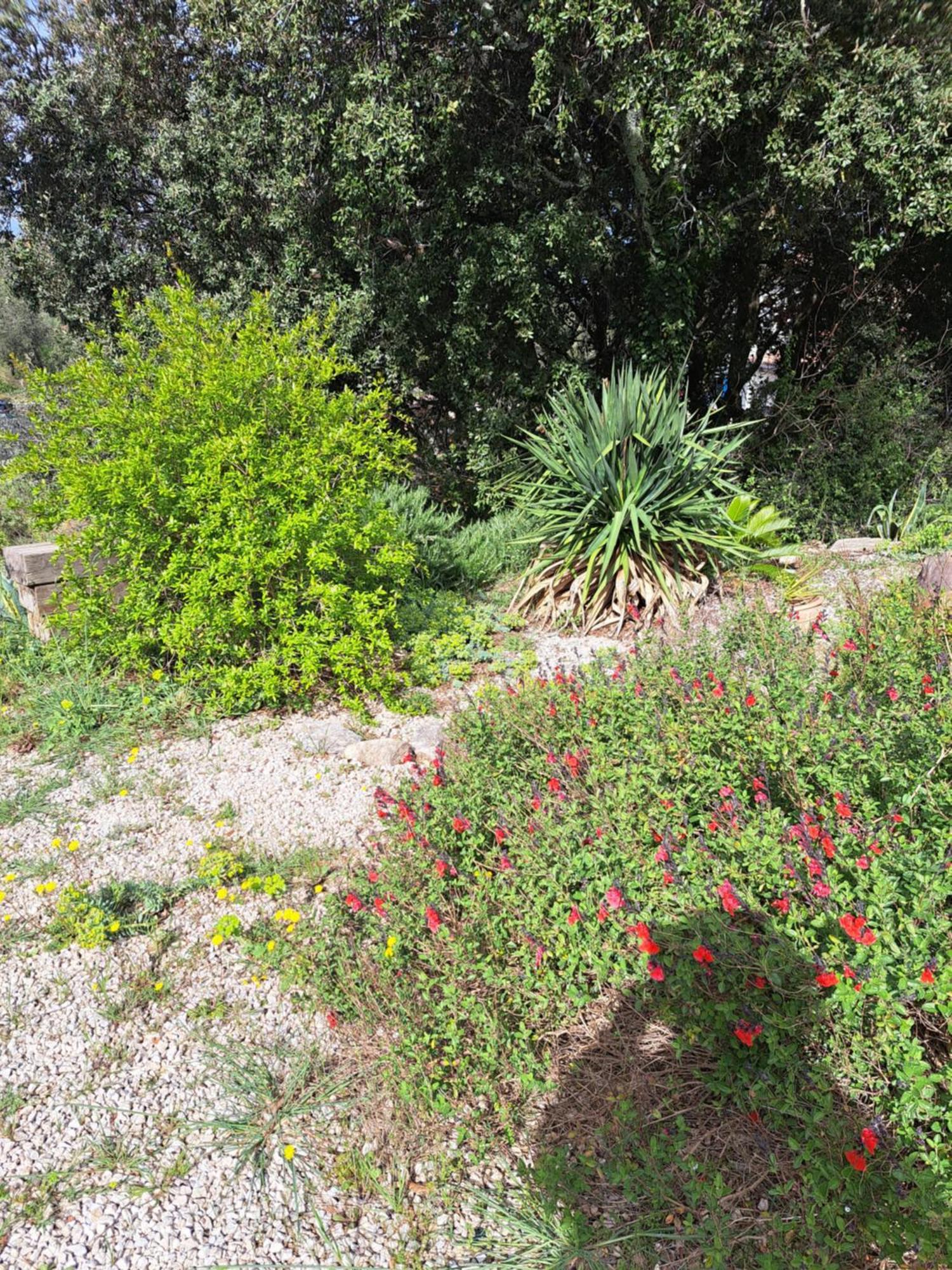 Le Calme De La Garrigue Panzió Russan Kültér fotó