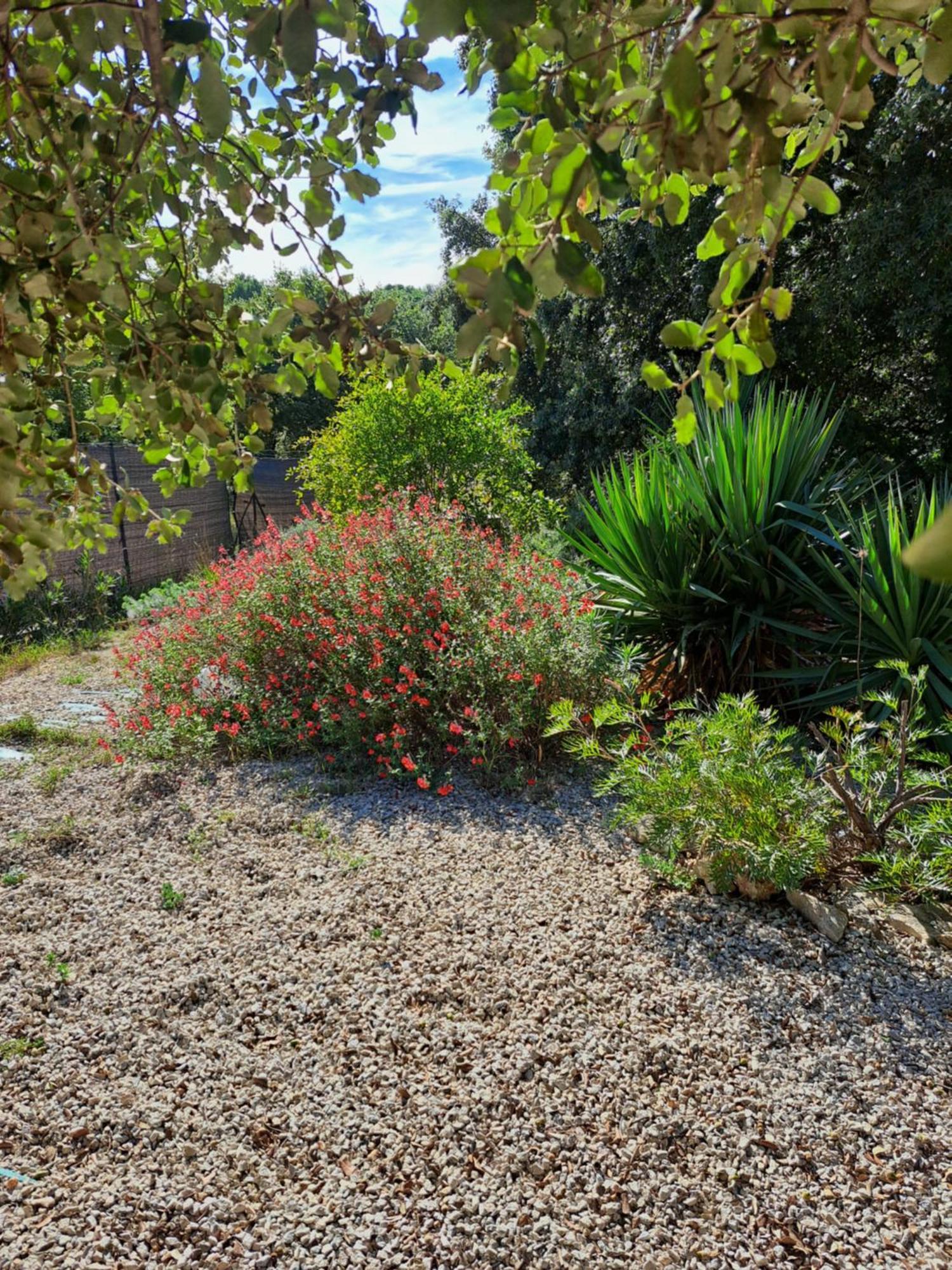 Le Calme De La Garrigue Panzió Russan Kültér fotó