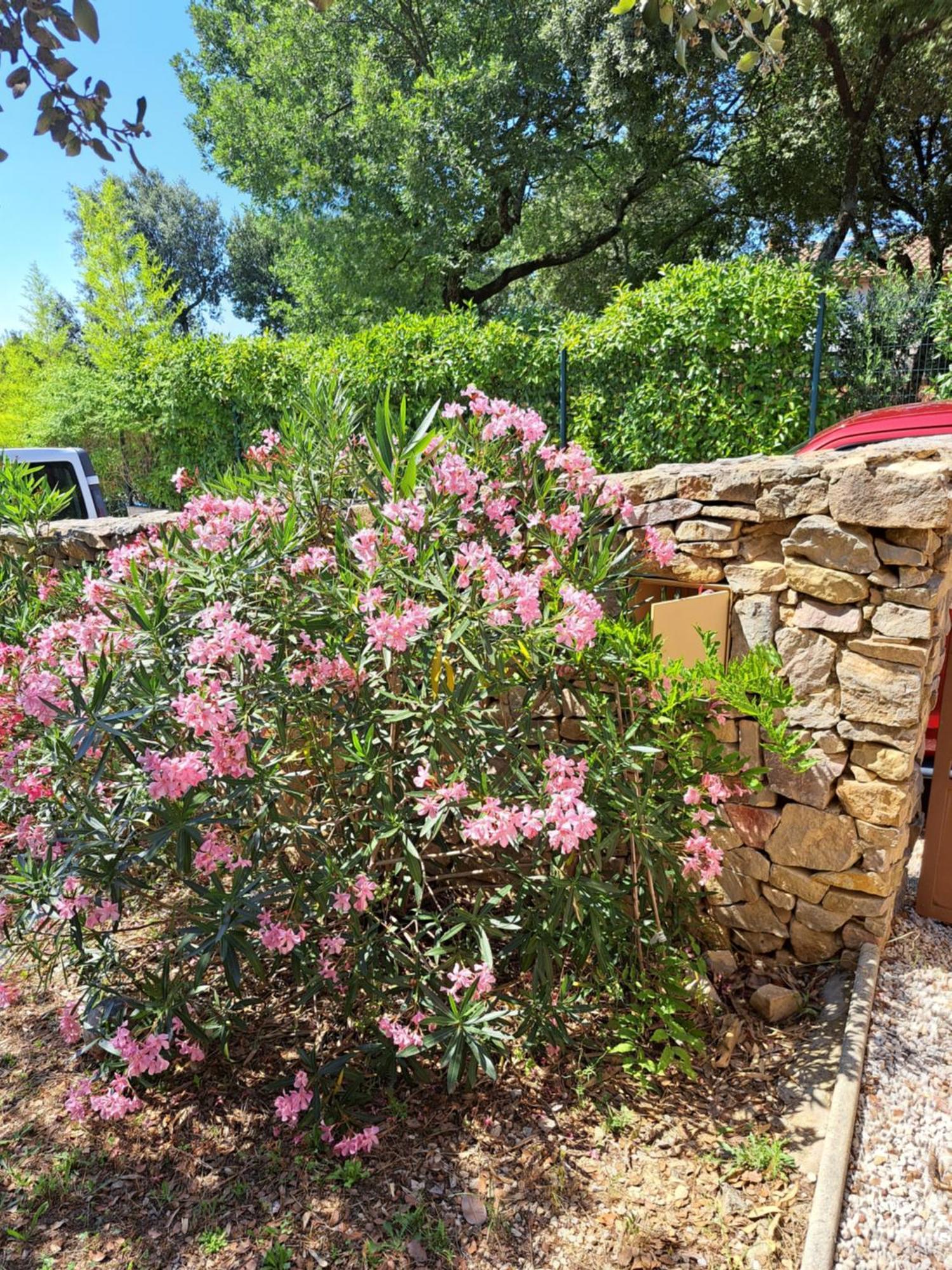Le Calme De La Garrigue Panzió Russan Kültér fotó